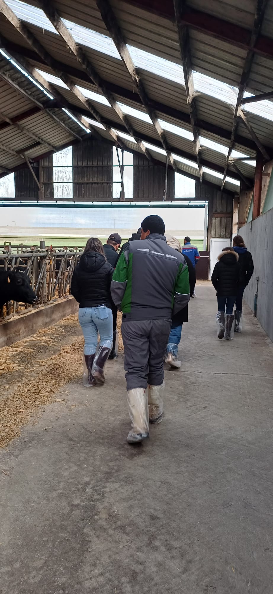 Visite_professionnelle_élevage_MFR_Janzé